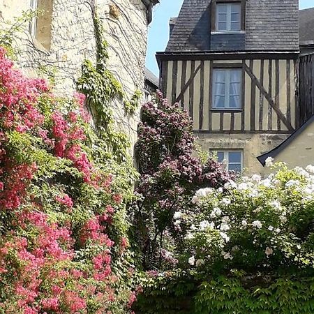 Petite Maison Romantique Au Calme, Coeur Historique Plantagenet, Vue Ville 르망 외부 사진