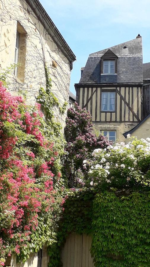 Petite Maison Romantique Au Calme, Coeur Historique Plantagenet, Vue Ville 르망 외부 사진