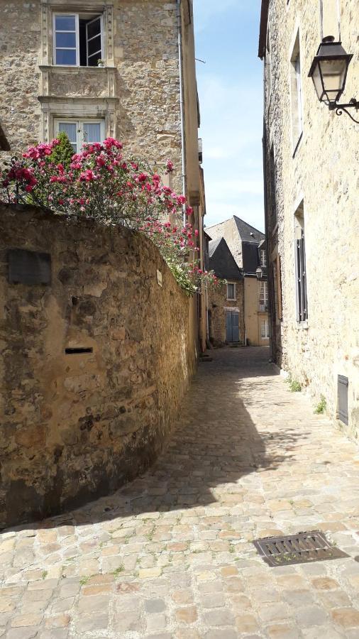 Petite Maison Romantique Au Calme, Coeur Historique Plantagenet, Vue Ville 르망 외부 사진